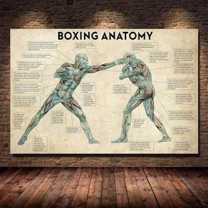Vintage Boxing Body Anatomy Wall Art Canvas Painting Boxing Lover Gift for Gym Room Cuadros Home Decoration Poster e stampe