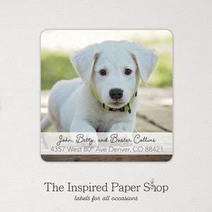 Photo Return Address Labels Family Photo or Pet Photo, Use Any Photo | 2 x 2 inches | 36 Glossy or Matte Finish Labels