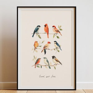 Von der Natur inspiriertes Vogel Kunstwerk | Bunter Aquarelldruck für ein gemütliches Zuhause druckbares Vogel-Kunst-Set Vogel-Wandkunst-Digitaldrucke