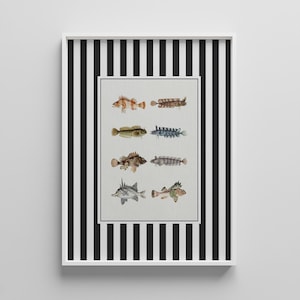 Lake House Decor - Vintage Freshwater Fish Print Set - Unique Antique Animal Art Prints - Fishing Wall Art - Instant Download