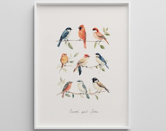 Watercolor Bird Art Prints: Colorful Cottagecore Nature Wall Decor (Digital Download)