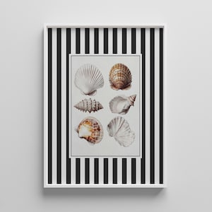 Rustic Oyster Shell Print - Seafood Striped Wall Art - Cottagecore Kitchen Decor - Vintage Seafood Wall Art, Preppy Grandmillennial Poster