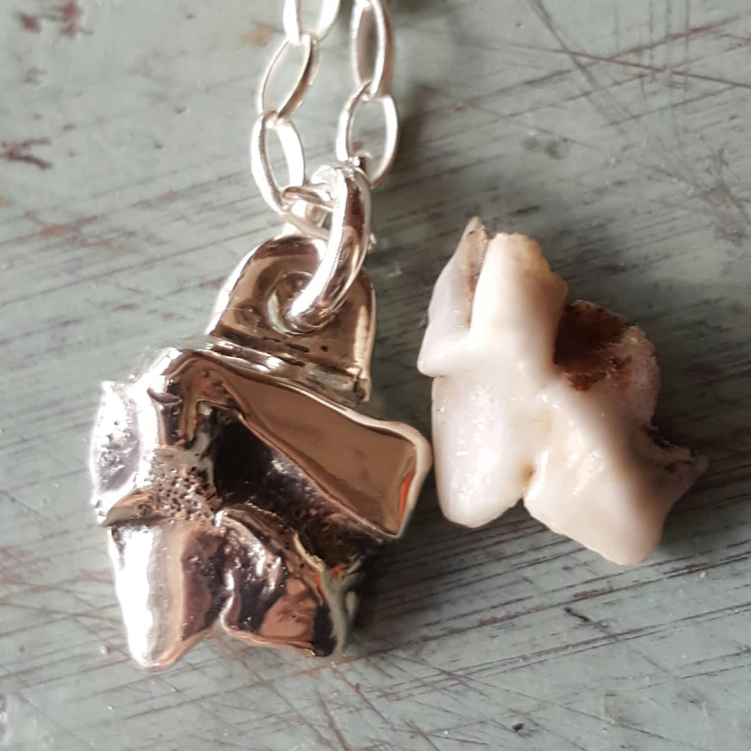 Canine Tooth Necklace Dog Teeth Pendant Custom Sterling Silver