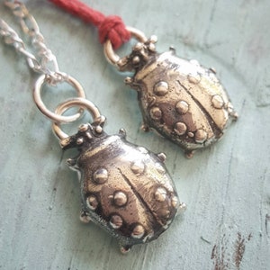 Marienkäfer Halskette, Marienkäfer Anhänger, Käfer Schmuck, Handgemachte Halskette. Käfer Halskette, Käfer Schmuck