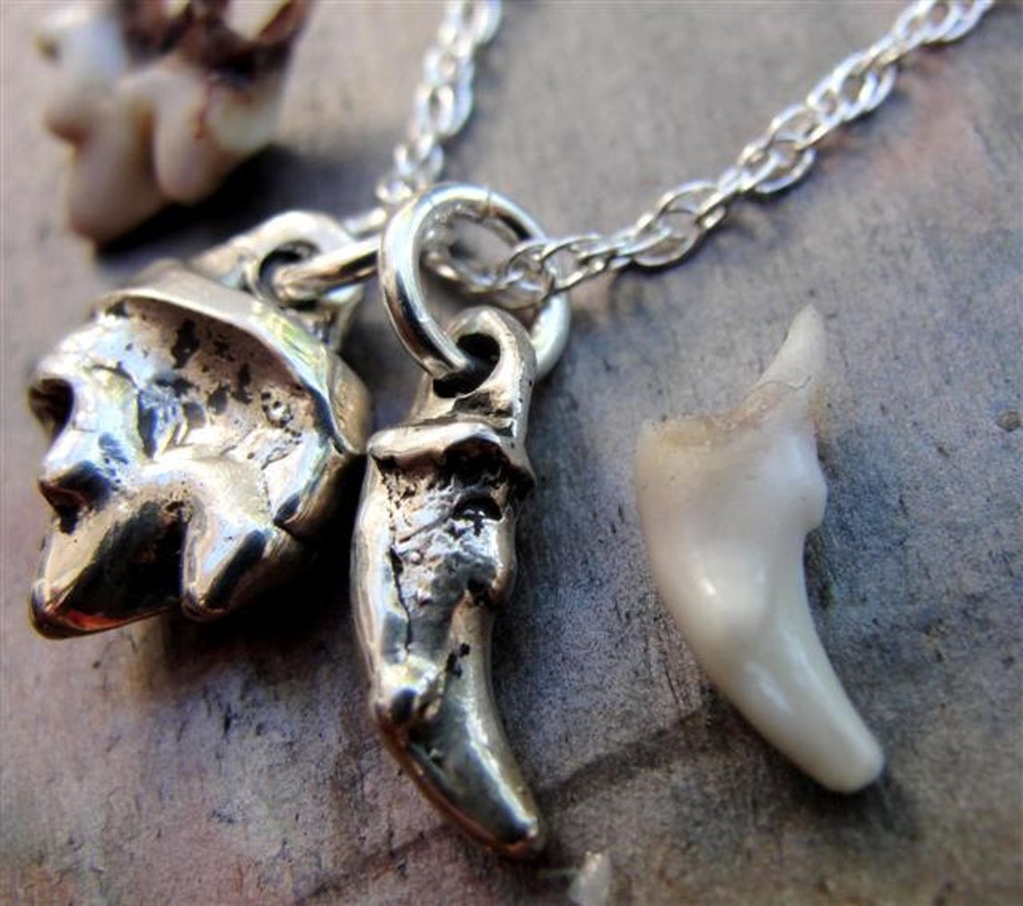Custom Dog Tooth Necklace Canine Teeth Pet Personalized Etsy
