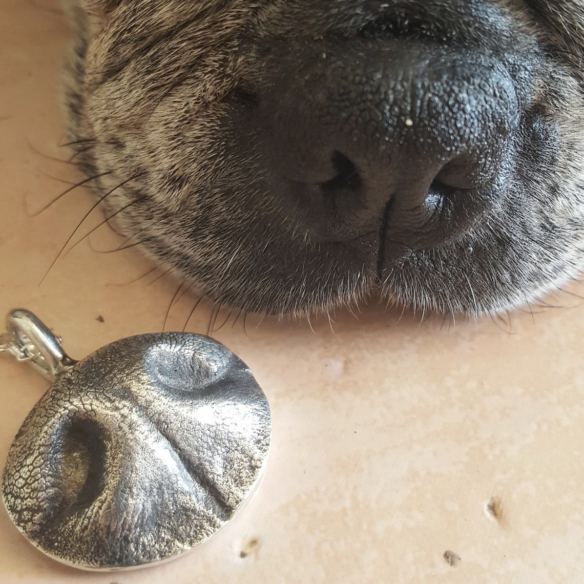 Dog Nose Necklace Personalized in Sterling Silver Large Etsy