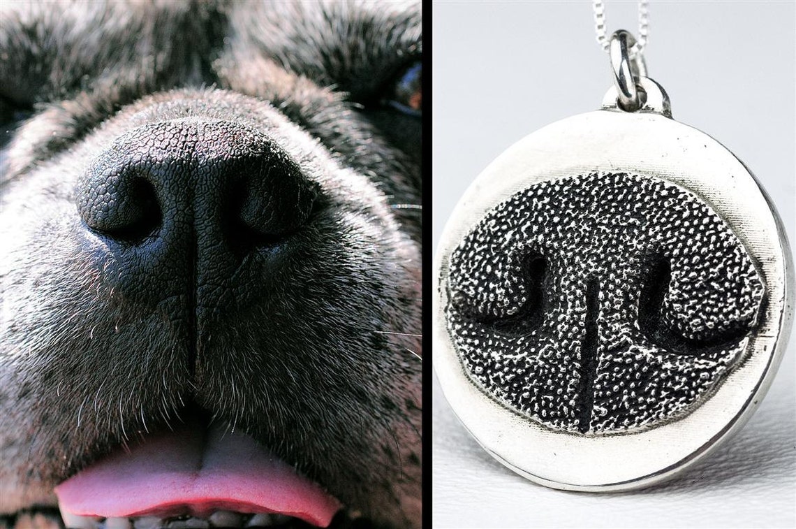 Dog Nose Necklace Jewelry Custom Personalized Sterling Silver Etsy