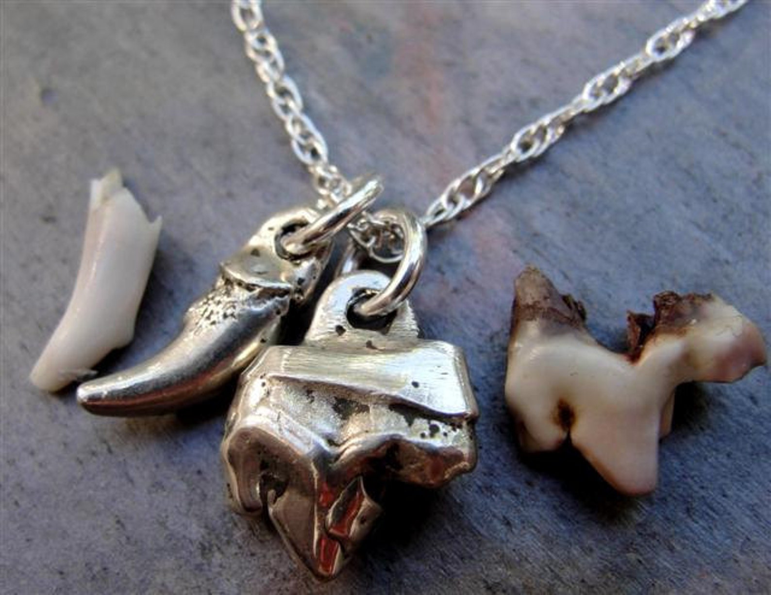 Custom Dog Tooth Necklace Canine Teeth Pet Personalized Etsy