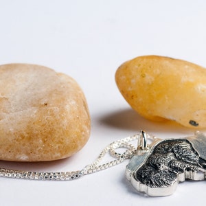 Op de afbeelding: Een zilveren ketting met een hanger in de vorm van het Afrikaanse continent. De hanger is gedetailleerd met een getextureerd oppervlak en een kleine vogel die bovenop zit. De ketting ligt op een wit oppervlak naast twee gladde, lichtbruine stenen.