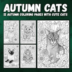 Autumn Cats Coloring Pages – 12 Fall Cat Illustrations with Animals, Pumpkins & Cozy Vibes | Printable PDF for Adults Digital Download