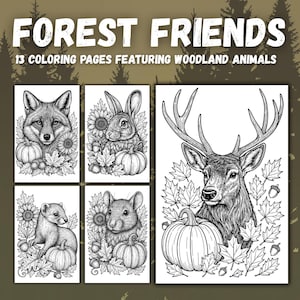 Forest Animals Coloring Pages for Adults – Fall Woodland Creatures | Autumn Digital Coloring Book | Instant Download | 13 Pages PDF