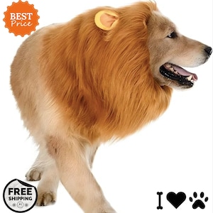 May include: A brown dog wearing a lion costume with a long, fluffy mane and yellow ears. The dog is walking forward with its head turned to the side. The background is white.