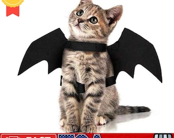May include: A brown tabby cat wearing a black bat costume with wings. The costume has a black strap around the cat's chest and a black collar around the cat's neck.