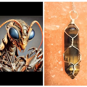 Mantis Spirit Companion Talisman Alien Spirit Extraterrestrial Spirit Talisman