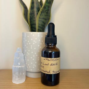 Mullein Tincture