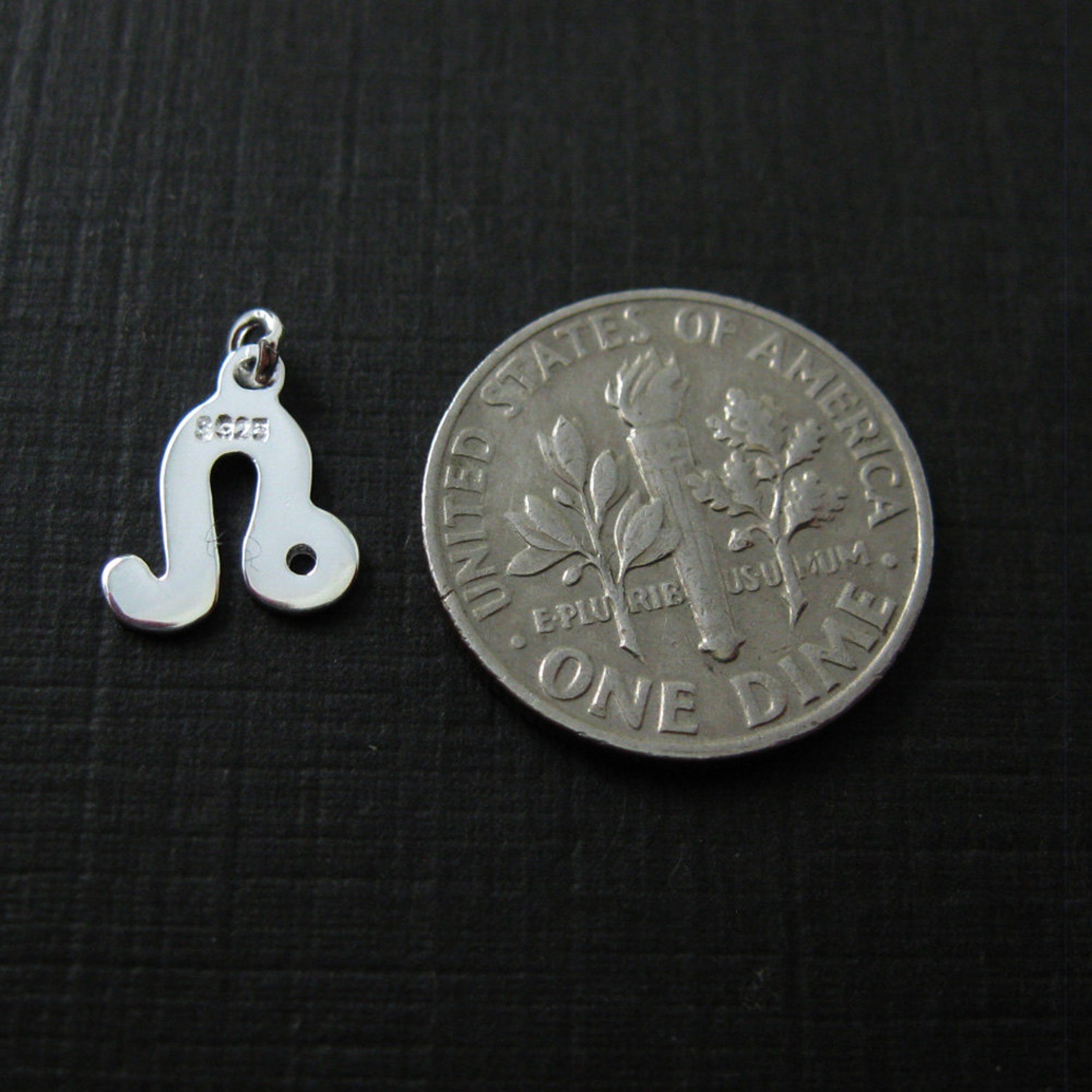 Sterling Silver Horoscope Charms Leo 925 Sterling Silver Etsy