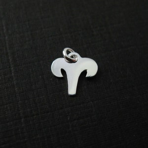 Sterling Silver Horoscope Charms- Aries -925 Sterling Silver Zodiac Sign Charm - Zodiac Pendant - Personalize Charm- (1 pc)- SKU: 201211-ARI