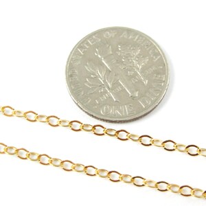 May include: Two strands of gold chain, one above the other, against a white background. A US dime is placed below the chains for size comparison.