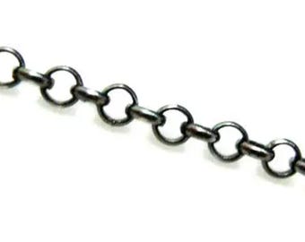 May include: A close-up of a silver chain with small, round links.