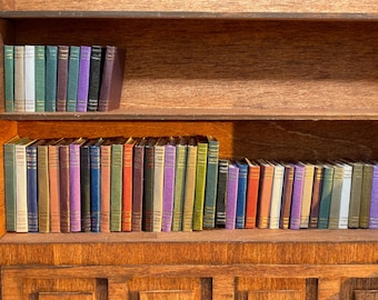 300 Pezzi Libri in Miniatura, Mini Libri per Accessori Casa delle Bambole, 1:12 Mini Books per Studio, Oggetti in Miniatura, Kit Miniature Libri per Casa delle Bambole Libreria