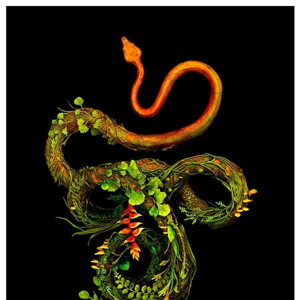 of escape and near misses III - 100% proceeds to charity - (tree boa snake with botanicals) - Original Giclee Edition Print - 13x19"