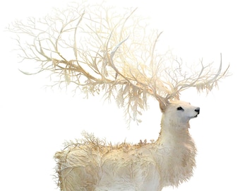 of conscience and loss - white forest stag - Original Giclee Edition Print - 13x19"