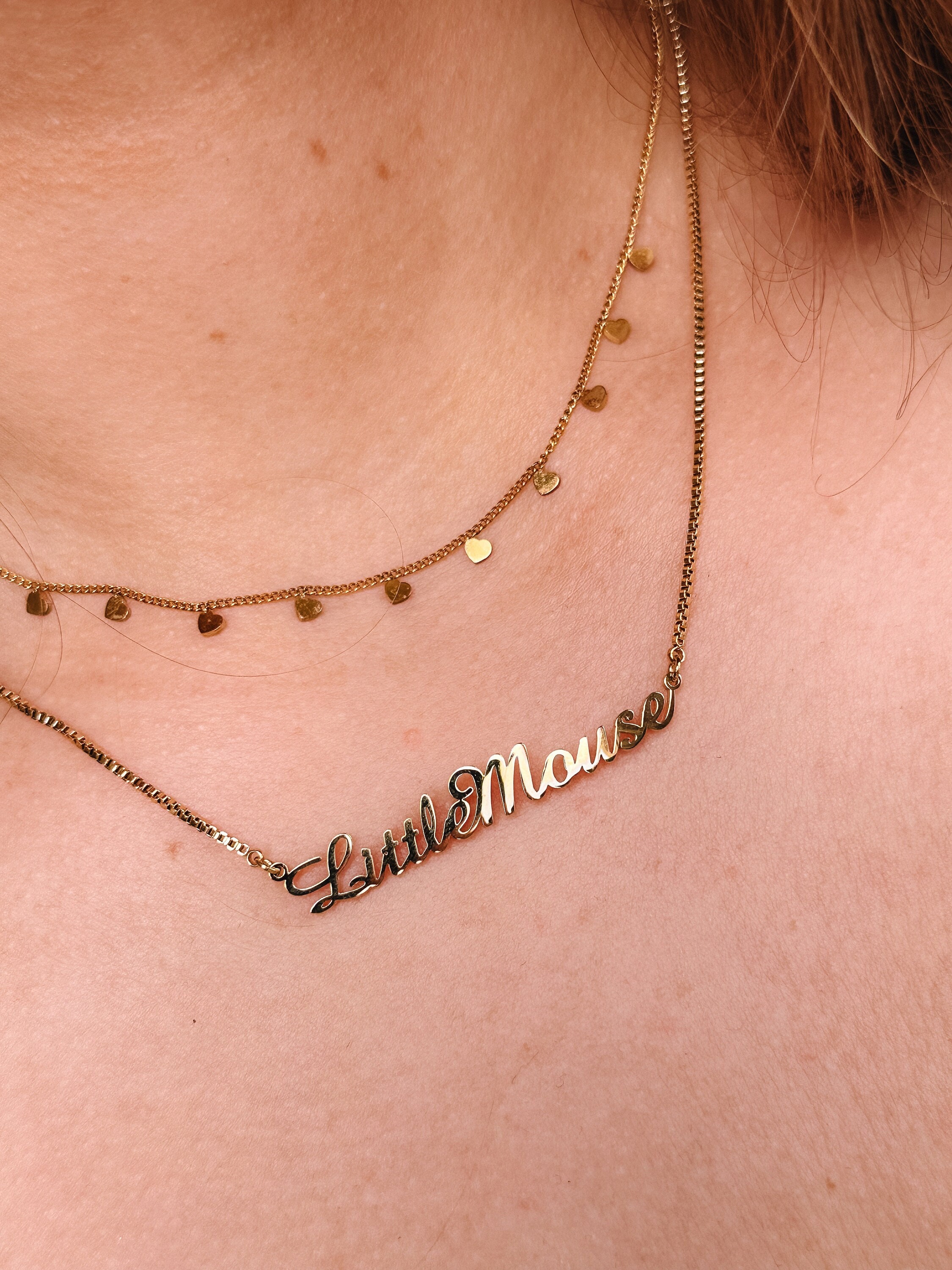 Premium 'Little Mouse' Stainless Steel Necklace, Haunting Adeline Inspired Bookish Merch Jewellery