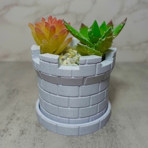 Small Plant Castle Planter