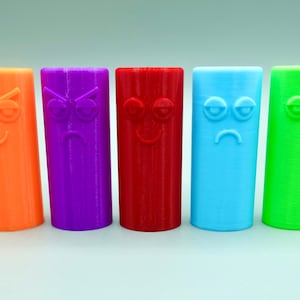 Bic Lighter Case