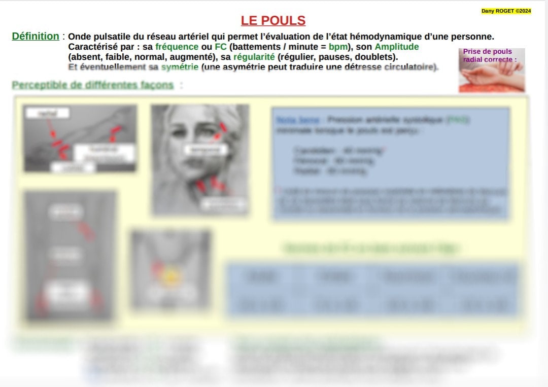 First Aid Pulse Mind Map Pdf Format - Etsy
