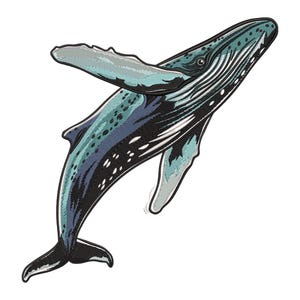 Humpback Whale Embroidery Design: Ocean Marine Life Machine Embroidery Files