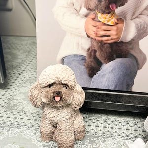 May include: A small, light brown, fluffy, poodle figurine with a happy expression and its tongue sticking out. The figurine is sitting on a white lace surface.