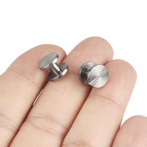 May include: Two silver-colored metal rivets with a flat, circular head and a post. One rivet has a slotted head. The rivets are shown against a light background.