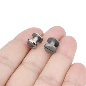 May include: Two silver metal screws with a round head and a threaded shaft. The screws are held in a hand.