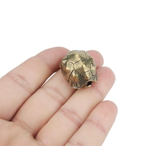 May include: A small, detailed brass turtle figurine. The turtle's shell features a textured, geometric pattern. The figurine is held in a hand, showcasing its size and intricate design. The overall aesthetic is vintage and decorative.