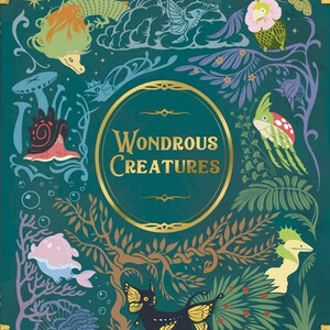Può includere: Una copertina di libro verde acqua con dettagli dorati e il titolo "Wondrous Creatures". La copertina presenta illustrazioni di creature fantastiche, tra cui un drago, una lumaca, un uccello e un gatto con ali di farfalla.