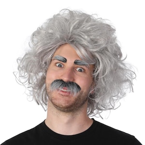 May include: A gray wig with matching eyebrows and a black mustache. The wig has a curly, voluminous style. The eyebrows are thick and dark, and the mustache is full. The person is wearing a black shirt.