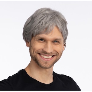 Grey Mens Short Wig Realistic Pop Band Fancy Dress Costume Cosplay
