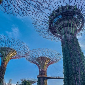 Supertree Grove.