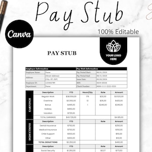 Editable Pay Stub, Paycheck Stub, Employee Pay Stub, Bi-Weekly Paystub, Employee Payroll, Check Stub Template, Earnings Statement, Paystub