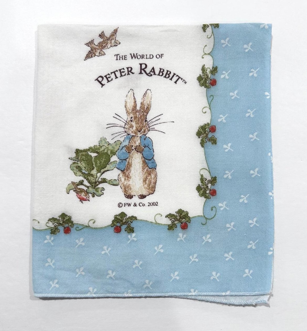 Vintage the World of Peter Rabbit Handkerchief 2002 Blue Anime Cartoon ...