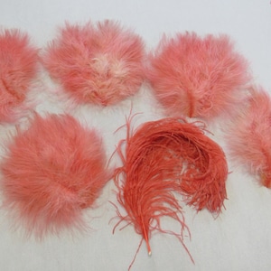 May include: A collection of five soft, fluffy, coral-pink ostrich feathers arranged on a surface. Four of the feathers are rounded and plume-like, while one feather is longer, thinner, and displays a visible central quill structure.
