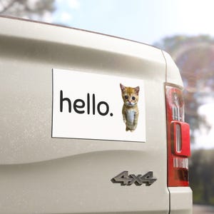 VinylDecals, VinylStickers, Funny Car Magnet, Cute Cat Decor, Gen Z Bumper Sticker, Meme Bumper Sticker, Funny Meme Sticker, Funny Car Decal