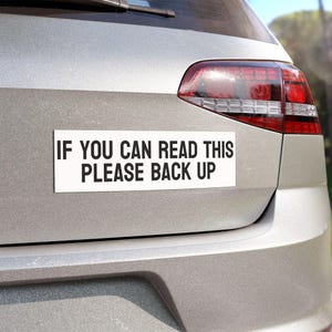 VinylDecals, VinylStickers, Funny Car Magnet, Meme Car Decal, Gen Z Bumper Sticker, Meme Bumper Sticker, Funny Meme Sticker, Funny Car Decal