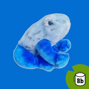 Tropical Frog Chalk Bag: Custom Climbing Gift