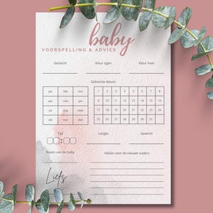 Baby Shower Prediction Game: Dutch Printable Activity (Digital Download)