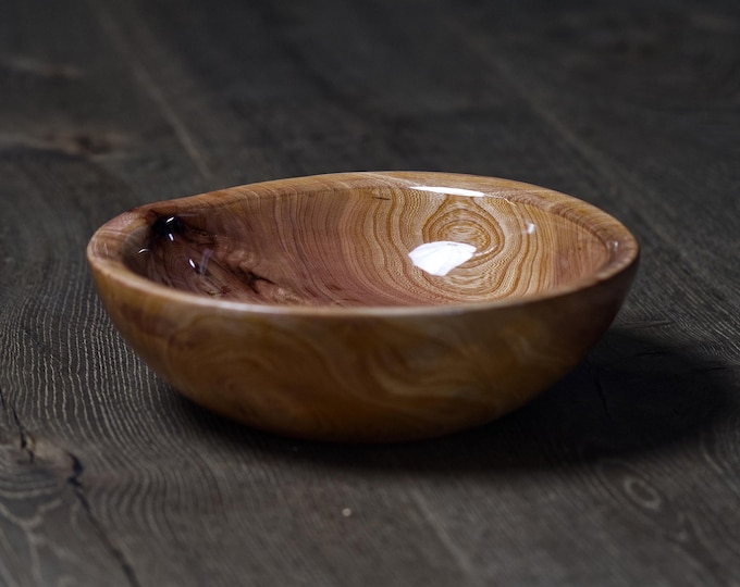 Luxury Handmade Elm Wood Bowl, Gloss Epoxy Bowl, Birthday Gift, New Mom Gift, Housewarming Gift, Unique Wooden Art, named Thornless Cactus