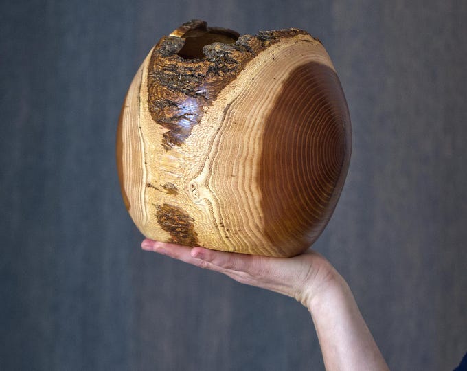 UNIQUE Handcrafted Mulberry Wood Vase, Unique Wooden Art, Gift For Her, Birthday Gift, Vase Table Decor, Vase Shelf Accent, named Frog Alien