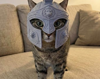 Spartan Cat Helmet