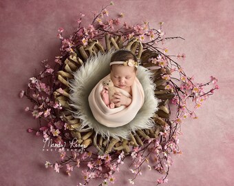 Newborn Digital Backdrop, Driftwood Bowl with Pink Spring Cherry Blossom Branches